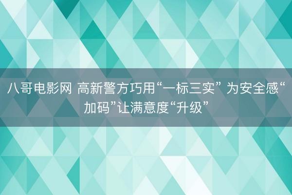 八哥电影网 高新警方巧用“一标三实” 为安全感“加码”让满意度“升级”