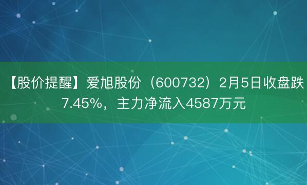 【股价提醒】爱旭股份（600732）2月5日收盘跌7.45%，主力净流入4587万元
