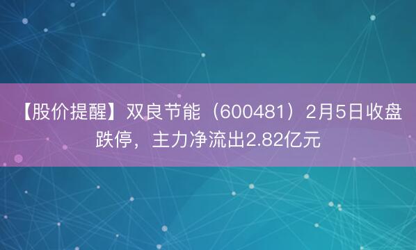 【股价提醒】双良节能（600481）2月5日收盘跌停，主力净流出2.82亿元