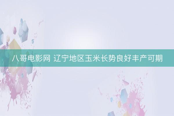 八哥电影网 辽宁地区玉米长势良好丰产可期