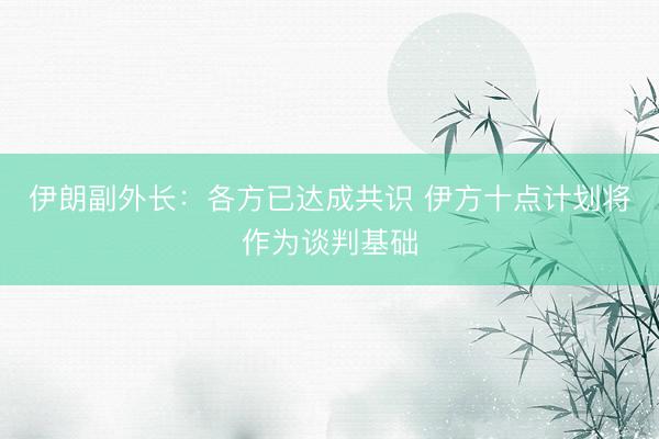 伊朗副外长：各方已达成共识 伊方十点计划将作为谈判基础