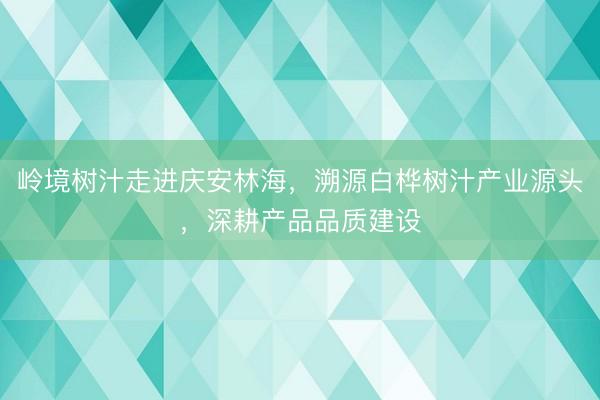岭境树汁走进庆安林海，溯源白桦树汁产业源头，深耕产品品质建设