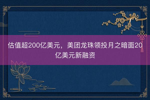 估值超200亿美元，美团龙珠领投月之暗面20亿美元新融资
