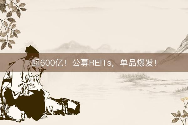 超600亿！公募REITs，单品爆发！