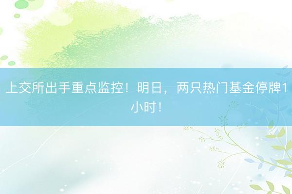 上交所出手重点监控！明日，两只热门基金停牌1小时！