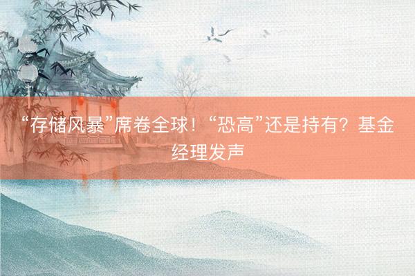 “存储风暴”席卷全球！“恐高”还是持有？基金经理发声