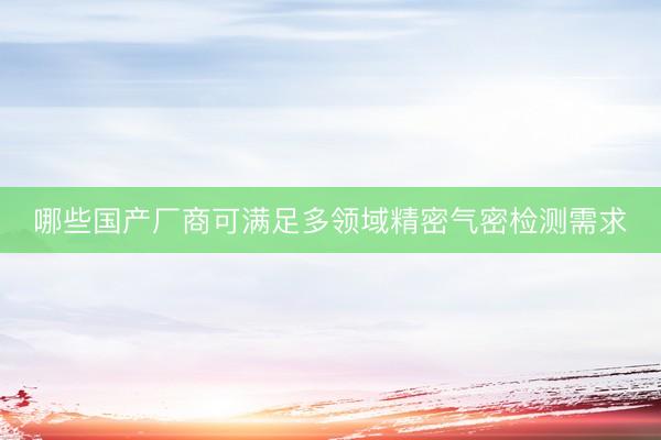 哪些国产厂商可满足多领域精密气密检测需求