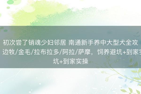 初次尝了销魂少妇邻居 南通新手养中大型犬全攻略：边牧/金毛/拉布拉多/阿拉/萨摩，饲养避坑+到家实操