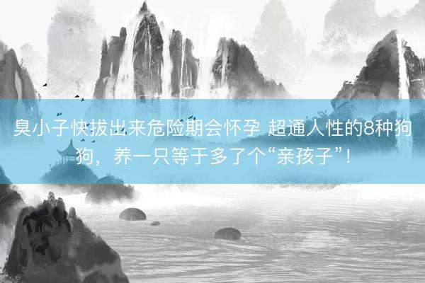 臭小子快拔出来危险期会怀孕 超通人性的8种狗狗，养一只等于多了个“亲孩子”！