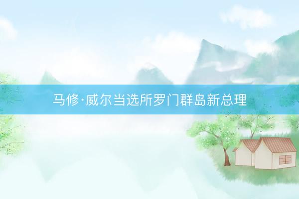 马修·威尔当选所罗门群岛新总理