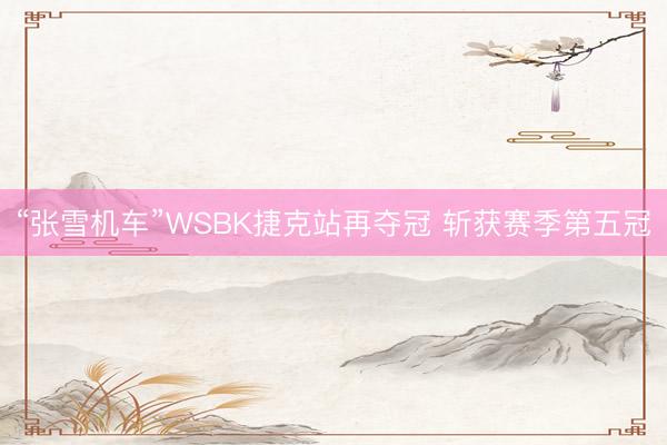 “张雪机车”WSBK捷克站再夺冠 斩获赛季第五冠