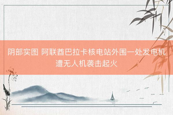 阴部实图 阿联酋巴拉卡核电站外围一处发电机遭无人机袭击起火