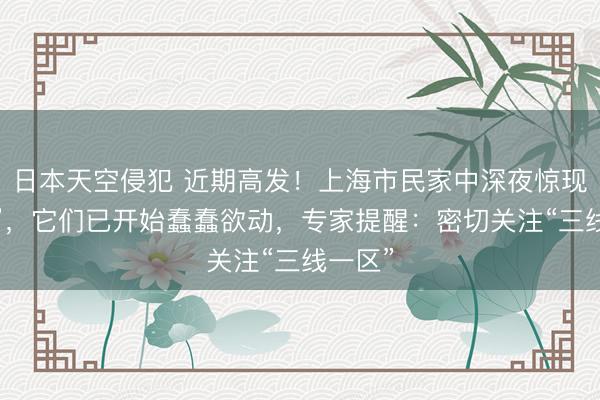 日本天空侵犯 近期高发!上海市民家中深夜惊现“泥丘”,它们已开始蠢蠢欲动,专家提醒:密切关注“三线一区”