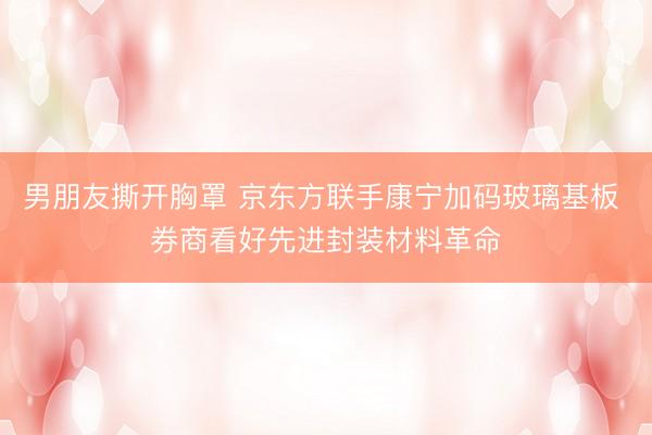 男朋友撕开胸罩 京东方联手康宁加码玻璃基板 券商看好先进封装材料革命