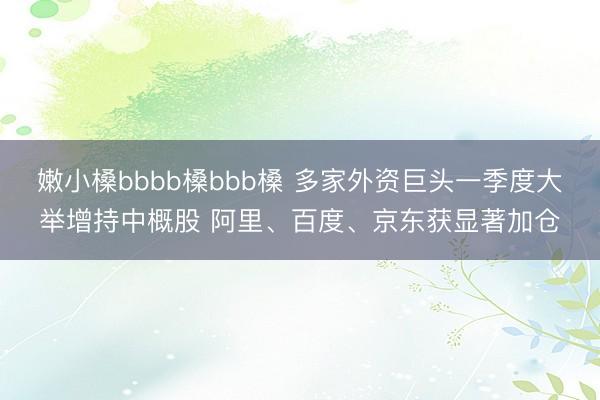 嫩小槡bbbb槡bbb槡 多家外资巨头一季度大举增持中概股 阿里、百度、京东获显著加仓