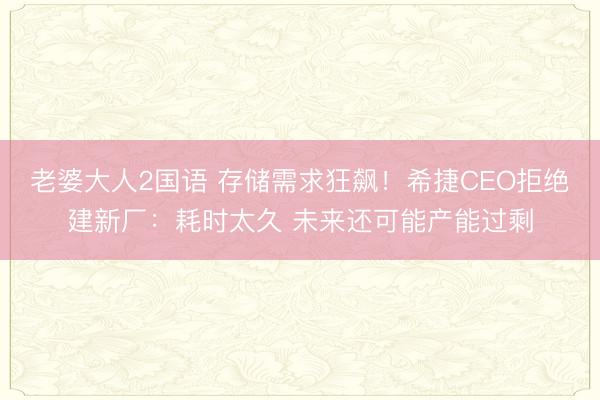 老婆大人2国语 存储需求狂飙!希捷CEO拒绝建新厂:耗时太久 未来还可能产能过剩