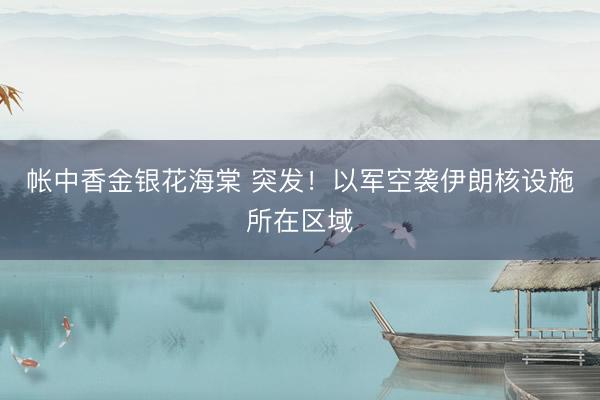 帐中香金银花海棠 突发!以军空袭伊朗核设施所在区域