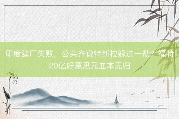 印度建厂失败,公共齐说特斯拉躲过一劫?福特20亿好意思元血本无归