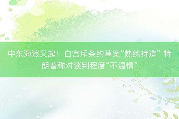 中东海浪又起！白宫斥条约草案“熟练持造” 特朗普称对谈判程度“不温情”