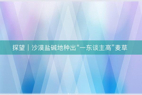 探望｜沙漠盐碱地种出“一东谈主高”麦草 