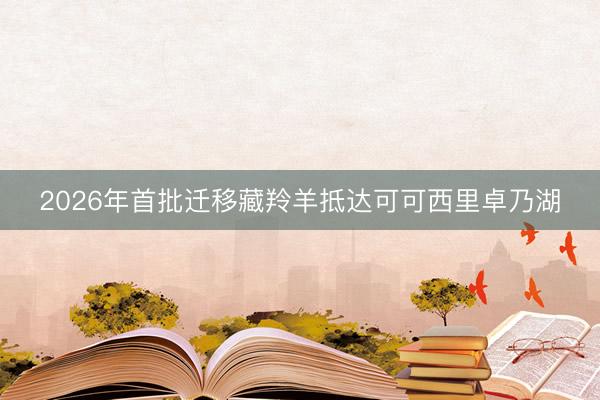 2026年首批迁移藏羚羊抵达可可西里卓乃湖