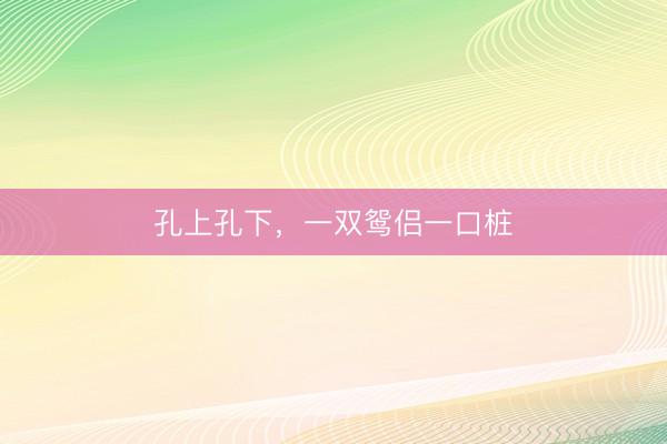 孔上孔下，一双鸳侣一口桩