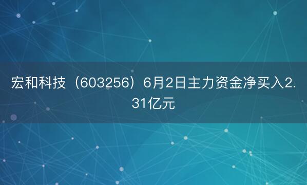 宏和科技（603256）6月2日主力资金净买入2.31亿元