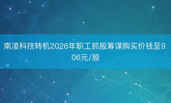 南凌科技转机2026年职工抓股筹谋购买价钱至9.06元/股