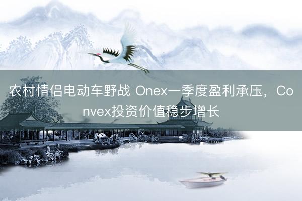 农村情侣电动车野战 Onex一季度盈利承压，Convex投资价值稳步增长