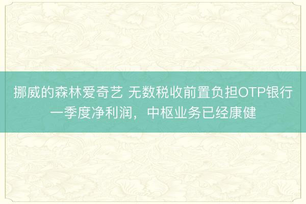 挪威的森林爱奇艺 无数税收前置负担OTP银行一季度净利润，中枢业务已经康健