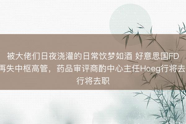 被大佬们日夜浇灌的日常饮梦如酒 好意思国FDA再失中枢高管，药品审评商酌中心主任Hoeg行将去职