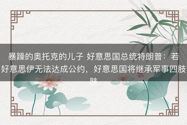 暴躁的奥托克的儿子 好意思国总统特朗普：若好意思伊无法达成公约，好意思国将继承军事四肢