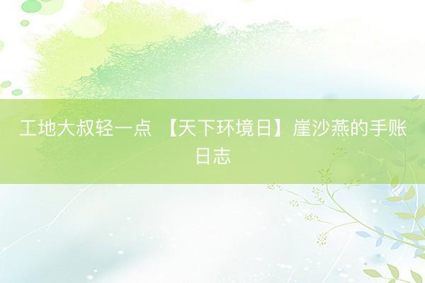 工地大叔轻一点 【天下环境日】崖沙燕的手账日志