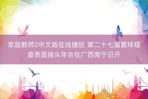 家庭教师2中文版在线播放 第二十七届寰球稽查表面接头年会在广西南宁召开