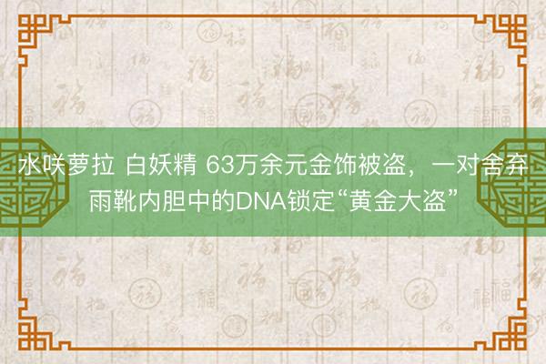 水咲萝拉 白妖精 63万余元金饰被盗,一对舍弃雨靴内胆中的DNA锁定“黄金大盗”
