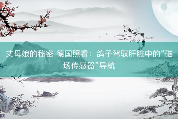 丈母娘的秘密 德国照看：鸽子驾驭肝脏中的“磁场传感器”导航