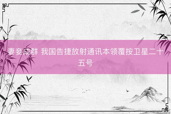 妻妾成群 我国告捷放射通讯本领覆按卫星二十五号