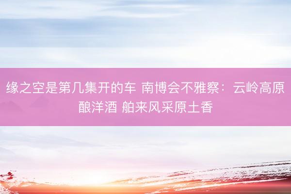 缘之空是第几集开的车 南博会不雅察：云岭高原酿洋酒 舶来风采原土香