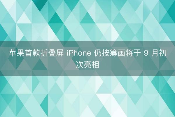 苹果首款折叠屏 iPhone 仍按筹画将于 9 月初次亮相